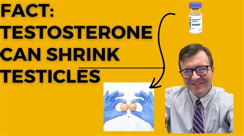 does taking testosterone shrink testicles.